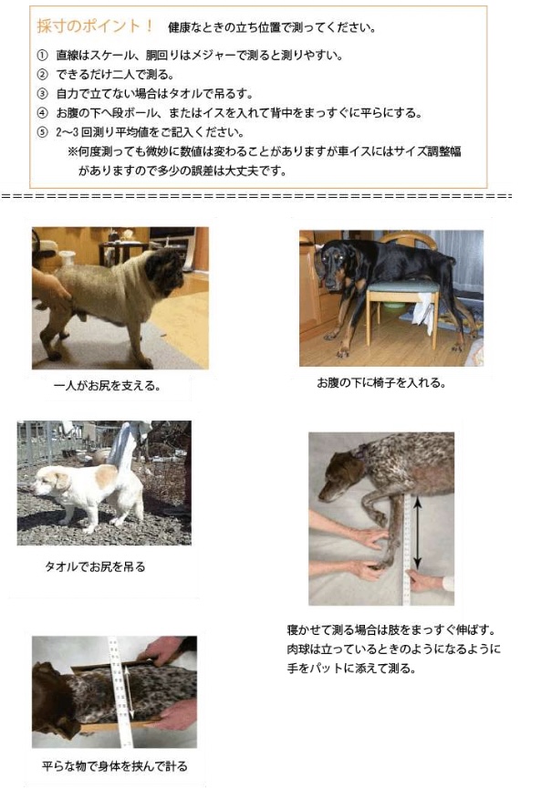 2輪車椅子を使用する犬
