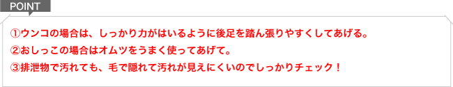 老犬ケアの基礎知識 爪切り