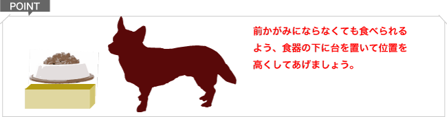 老犬ケアの基礎知識 爪切り