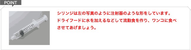 老犬ケアの基礎知識 爪切り ポイント2